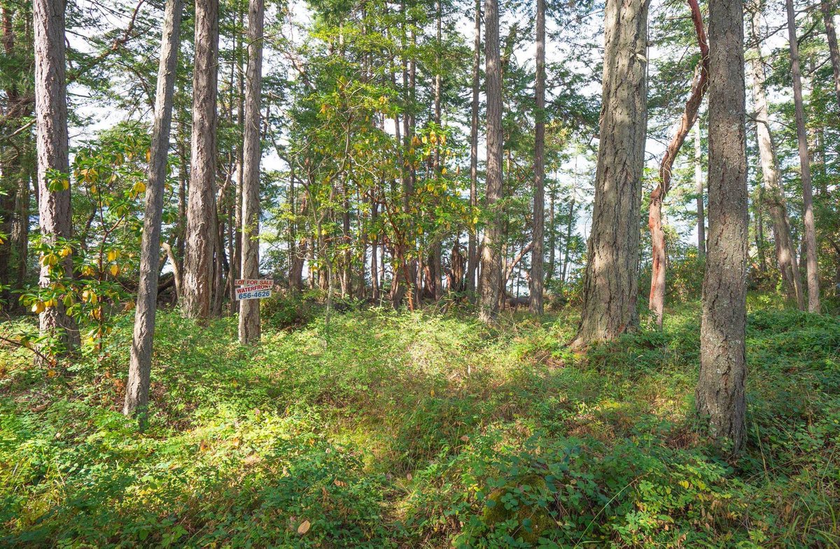 Dockside Realty tweet media