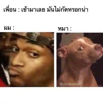 นานะ'โน่ 🌸 つ ㅇ`ㅅ'ㅇつ tweet media