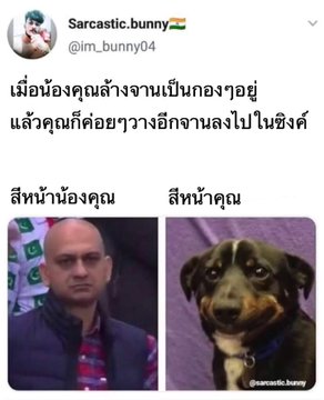 นานะ'โน่ 🌸 つ ㅇ`ㅅ'ㅇつ tweet media