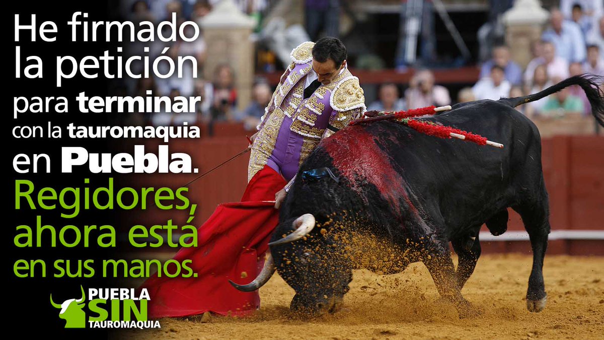 arcaDnoe's tweet photo. He firmado la petición para terminar con la tauromaquia en Puebla. Regidores, ahora está en sus manos #PueblaSinTauromaquia @CentralPuebla https://t.co/tkWRYKJg5B