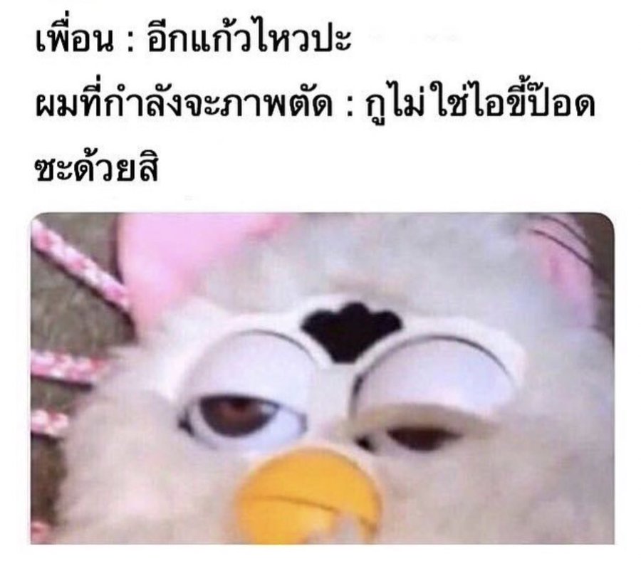 นานะ'โน่ 🌸 つ ㅇ`ㅅ'ㅇつ tweet media