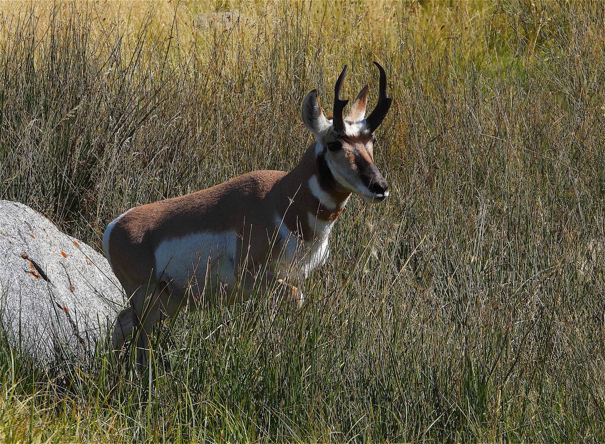 The other obvious is with no subsidies favoring large corporations over small family farms we move away from the fascist economy and into a free market capitalist system in which brains instead of greed is the governing factor. We also just saved about $28.5 billion annually
