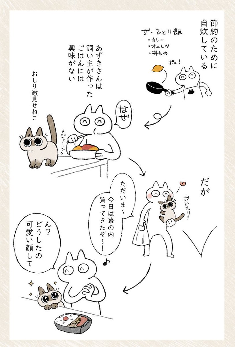 おしり激見せねこ(再) #シャム猫あずきさんは世界の中心 