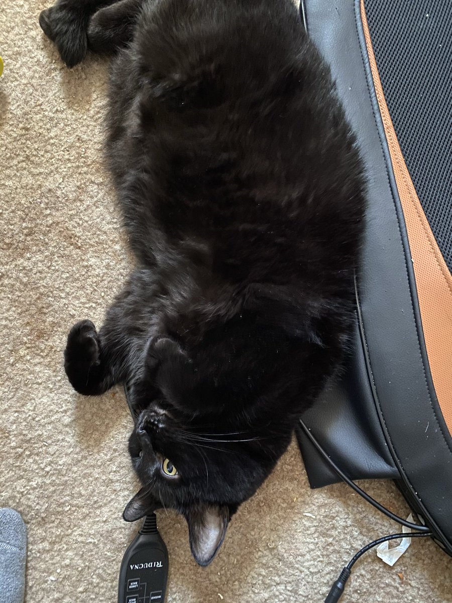 Nicknames for Alice include - love bug- bug - butt - puddin - little lady baby - nutter butter - Mary Jane rotten cat (my dad came up with that one) - baby - baby girl