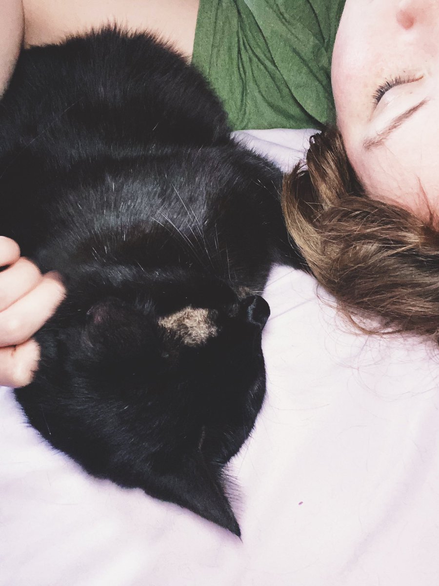 Nicknames for Gizmo include - Buddy - bug - baby boy - he actually answers to his name so I usually just use that Collectively they are the - soot sprites - sootlings - shadow babies - fuzz butts And seriously they are so GOOD.