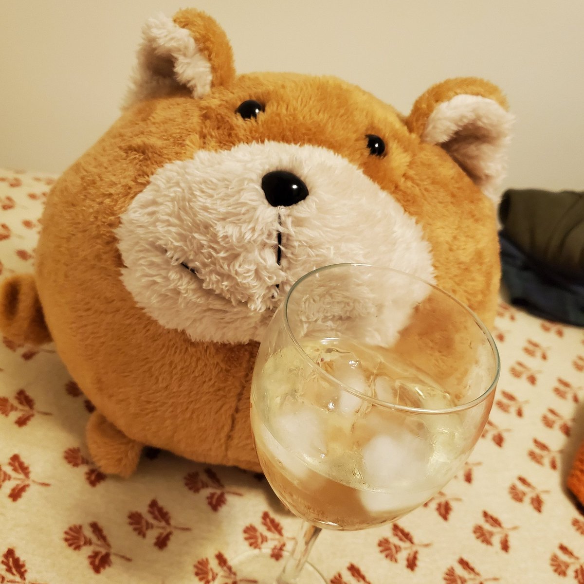 clgeiger01834's tweet photo. Hey @guster this guy is old enough to drink, right? He told me he knew you. Looks cuddly and trustworthy, so I believe him, but have second thoughts.

#bigfriend https://t.co/PyQxcNcZ5p