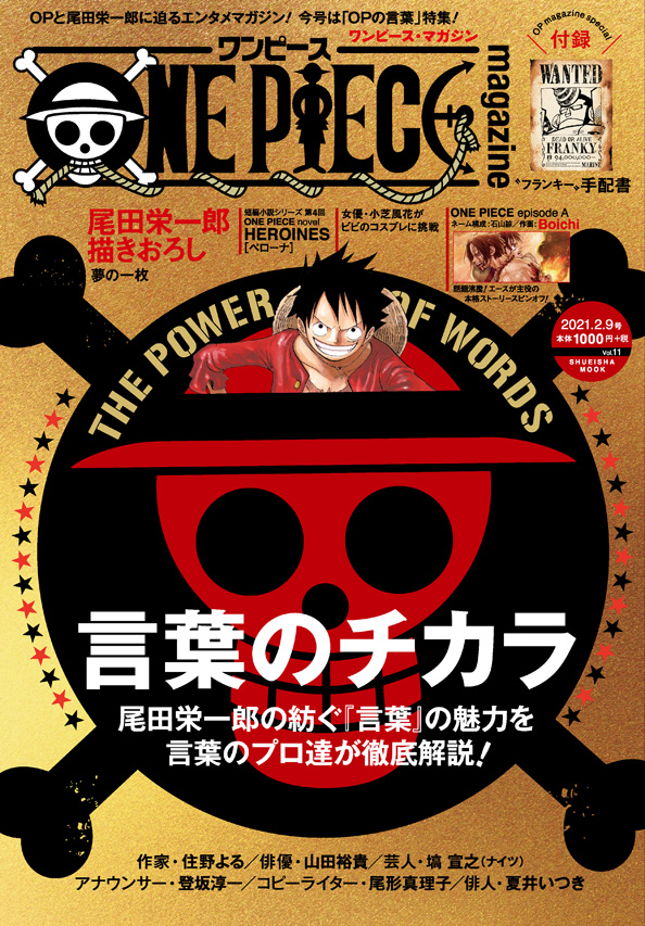 Special One Piece Magazine And Novels Mangahelpers