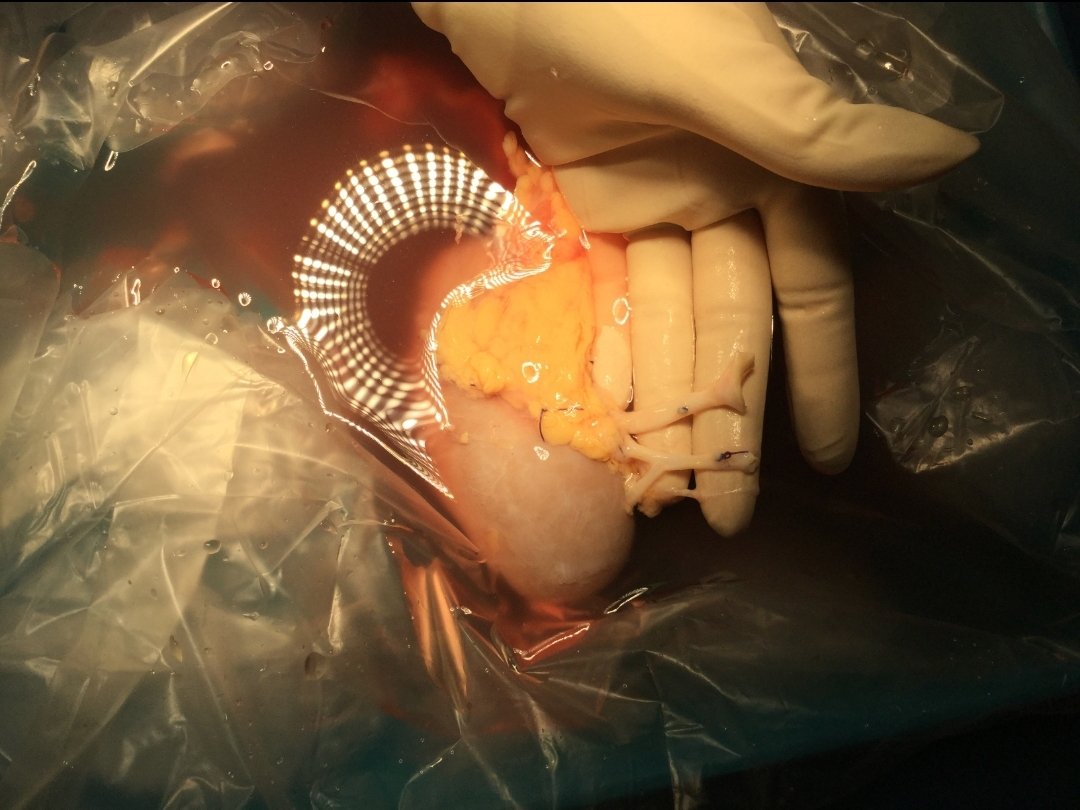 Chris Nahm tweet media