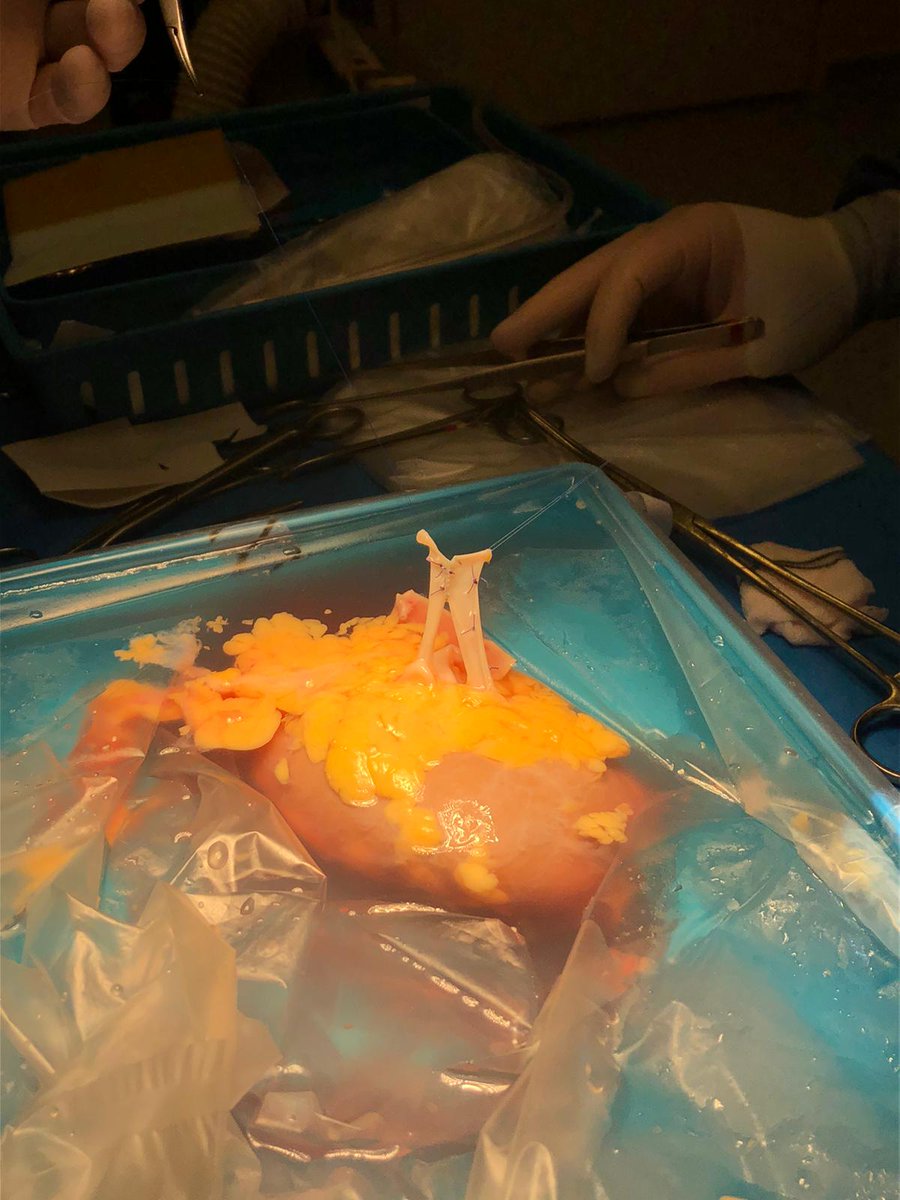 Chris Nahm tweet media