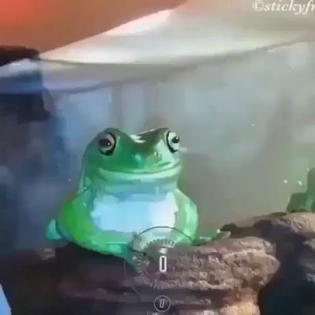 Ohmyg veri polite :((