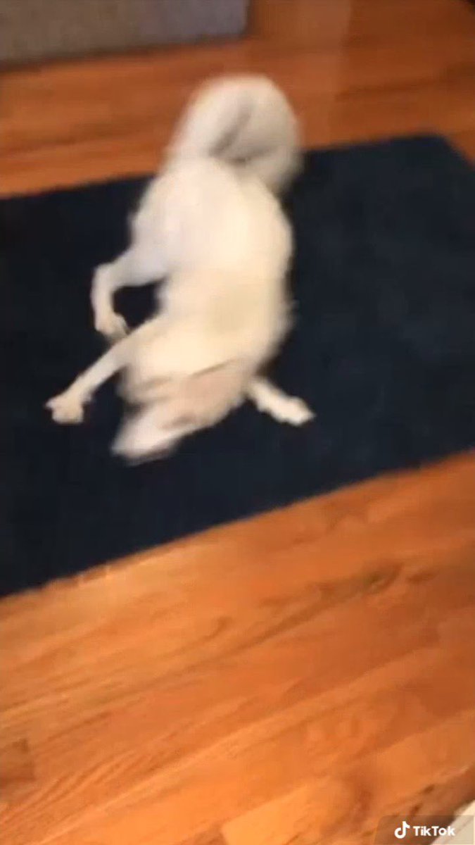 KLR Productions tweet media