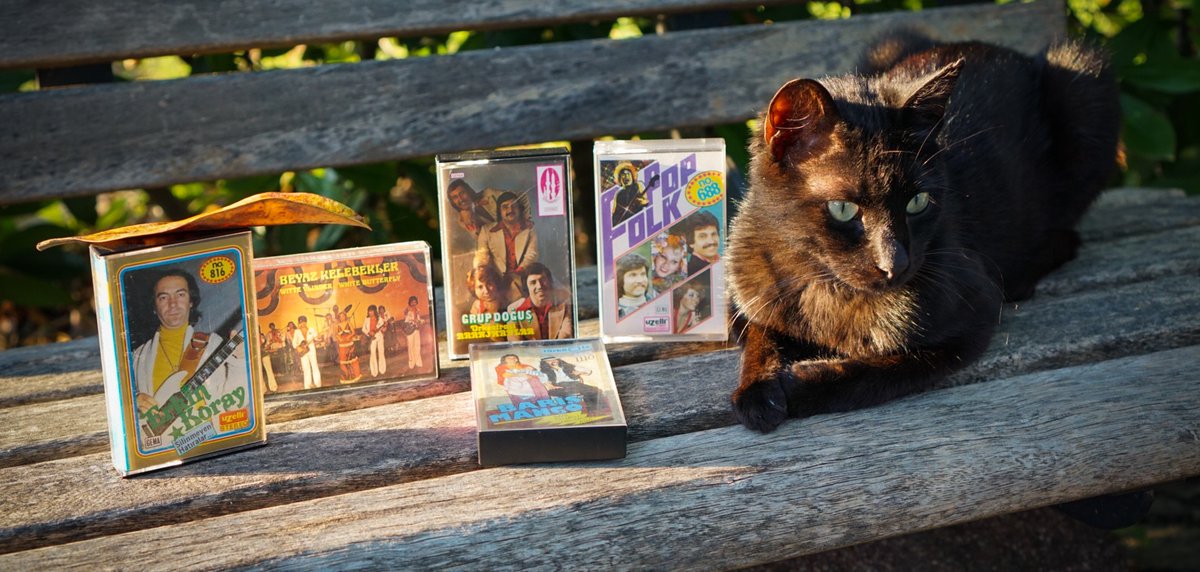 Discovering Turkish psych cassettes with Grup Ses
https://t.co/idrLTaNhAQ https://t.co/kevG4xDpCV