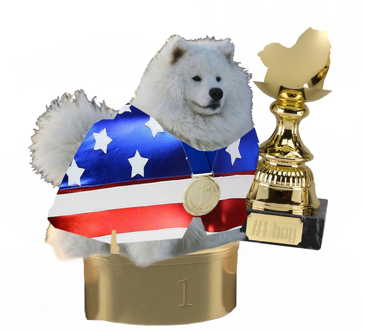 CoachBitey's tweet image. Secured a big win with the squad thanks to @AnoeticTV @R31TZV2 &amp;amp; @ellusions_ for coming together to secure the Team Victory! Hope to see more @Splitgate tournaments in the near future!