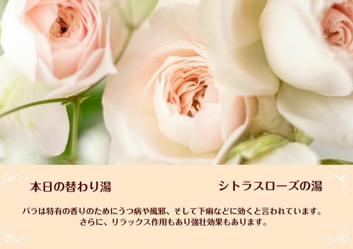 Raku Spa Cafe 浜松 Raku Spa Cafe H Twitter