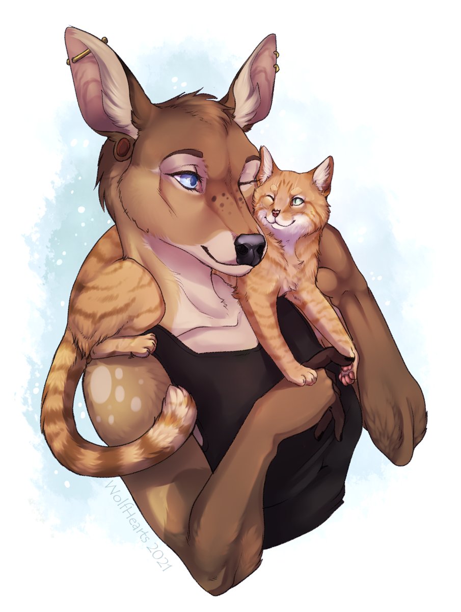 WolfHearts tweet media