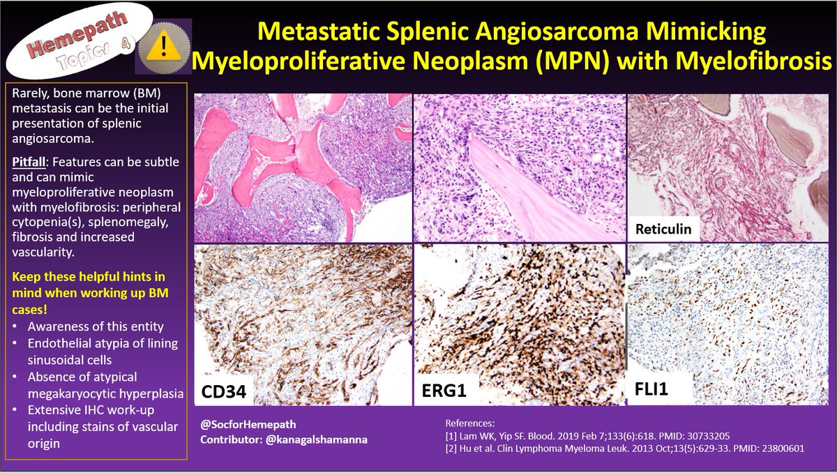 SocforHemepath tweet media