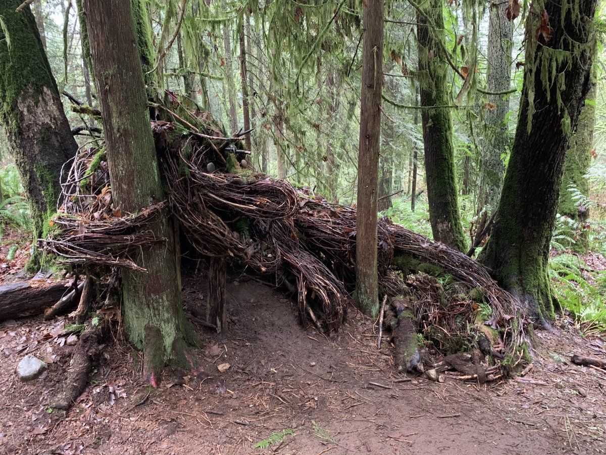 Spent the day exploring Robert Burnaby Park, where Vancouver artist Nickie Lewis spent most of 2020 quietly installing natural sculptures in the woods. We found eight. This is Emerald the Dragon.