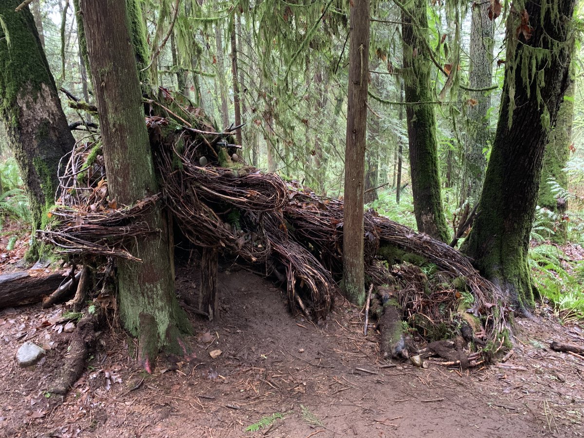 Spent the day exploring Robert Burnaby Park, where Vancouver artist Nickie Lewis spent most of 2020 quietly installing natural sculptures in the woods. We found eight. This is Emerald the Dragon. https://t.co/O3ccqSWH0E