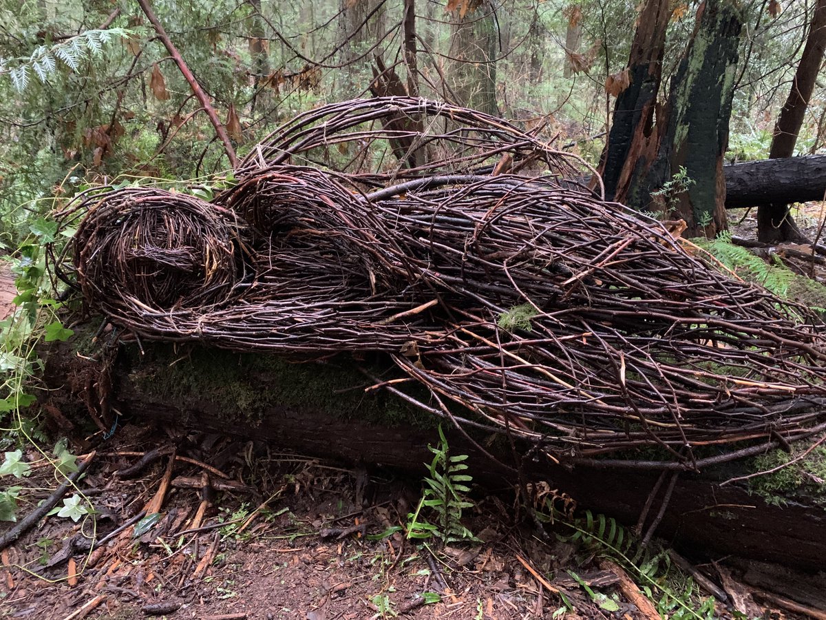 The sculptures are all made of twig and twine. They're mostly tucked away off the main paths, hidden along smaller trails, so if you don't know they're there, you might walk right past them. This is Lilith, the Sleeping Fairy.
