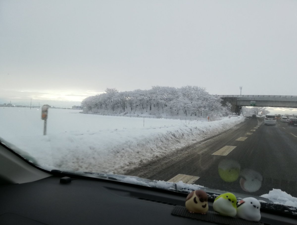 雪風景 Twitter Search 雪風景 Twitter Search