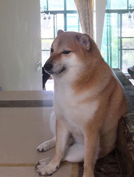 PupperNelson's tweet image. Cheems enermgy.