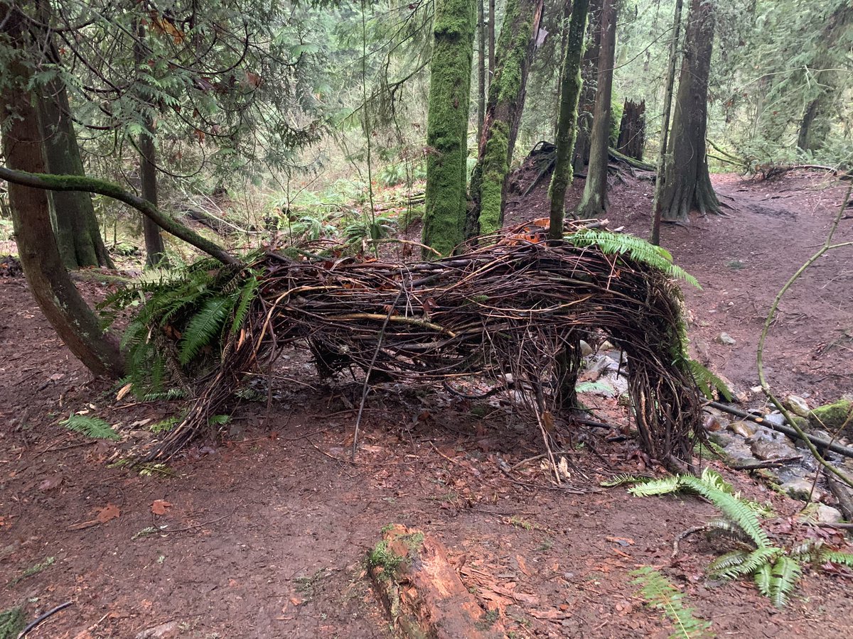 This is Echo the Non-Binary Unicorn. They were Lewis’s first sculpture. Apparently Echo took 25 hours. The sculpture is showing a little wear, unfortunately. People like to climb on its back.