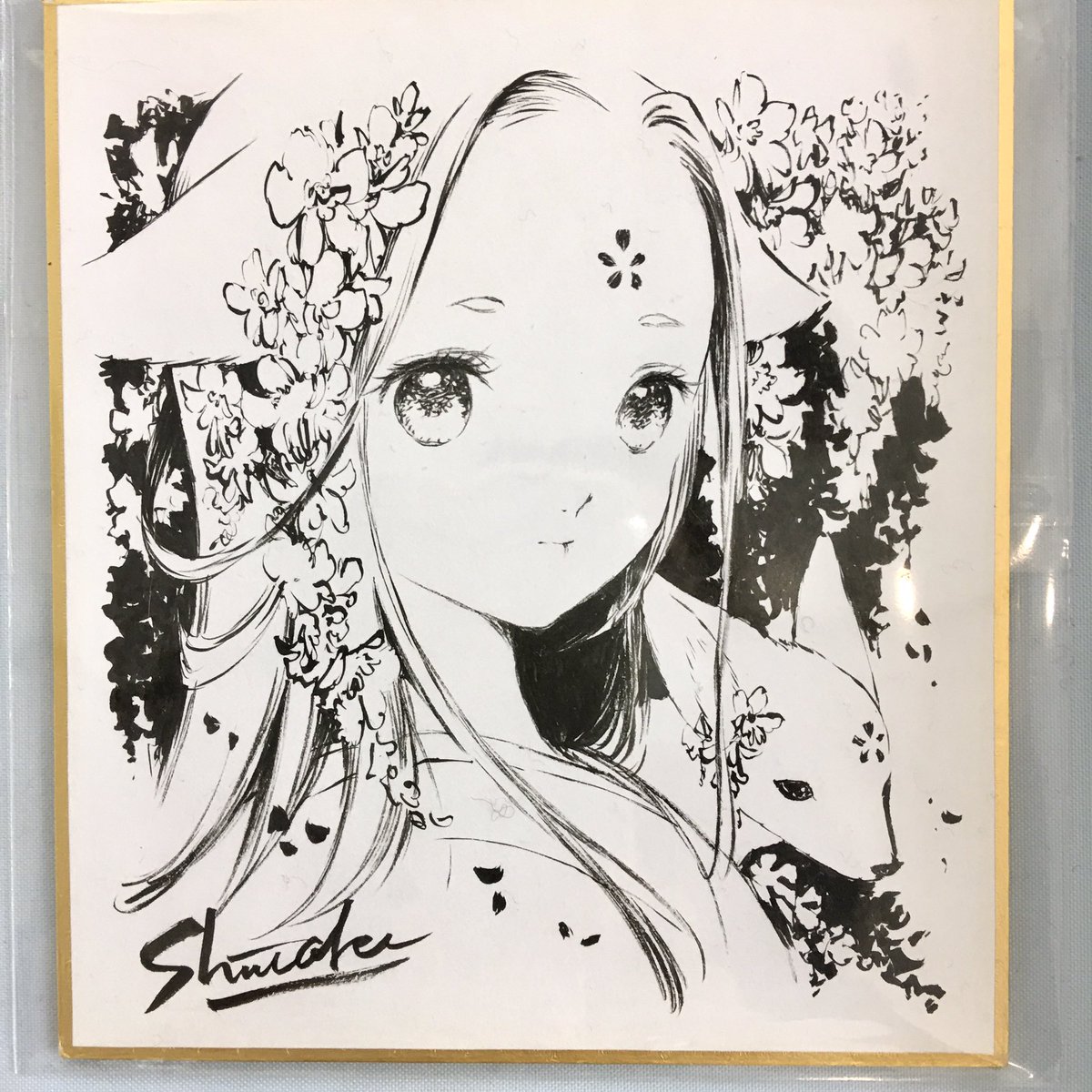A List Of Gensodo S Photographs And Videos Whotwi Graphical Twitter Analysis