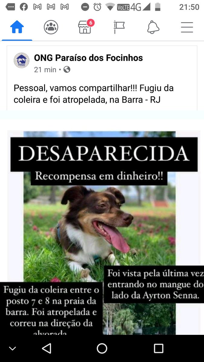 dedestellato's tweet photo. @LeiSecaRJ @LeiSecaRJ Por favor ela fugiu e foi atropelada, DIVULGEM https://t.co/WZbtZeNdbM