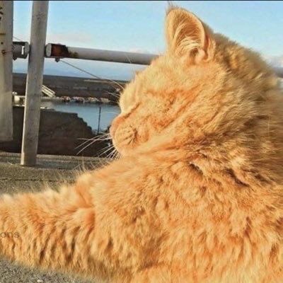 แคริสมีอะไรค่อยๆพูดกันดีๆ <a href="/msbykarinax/">แคริส (LA 2 weeks)</a>