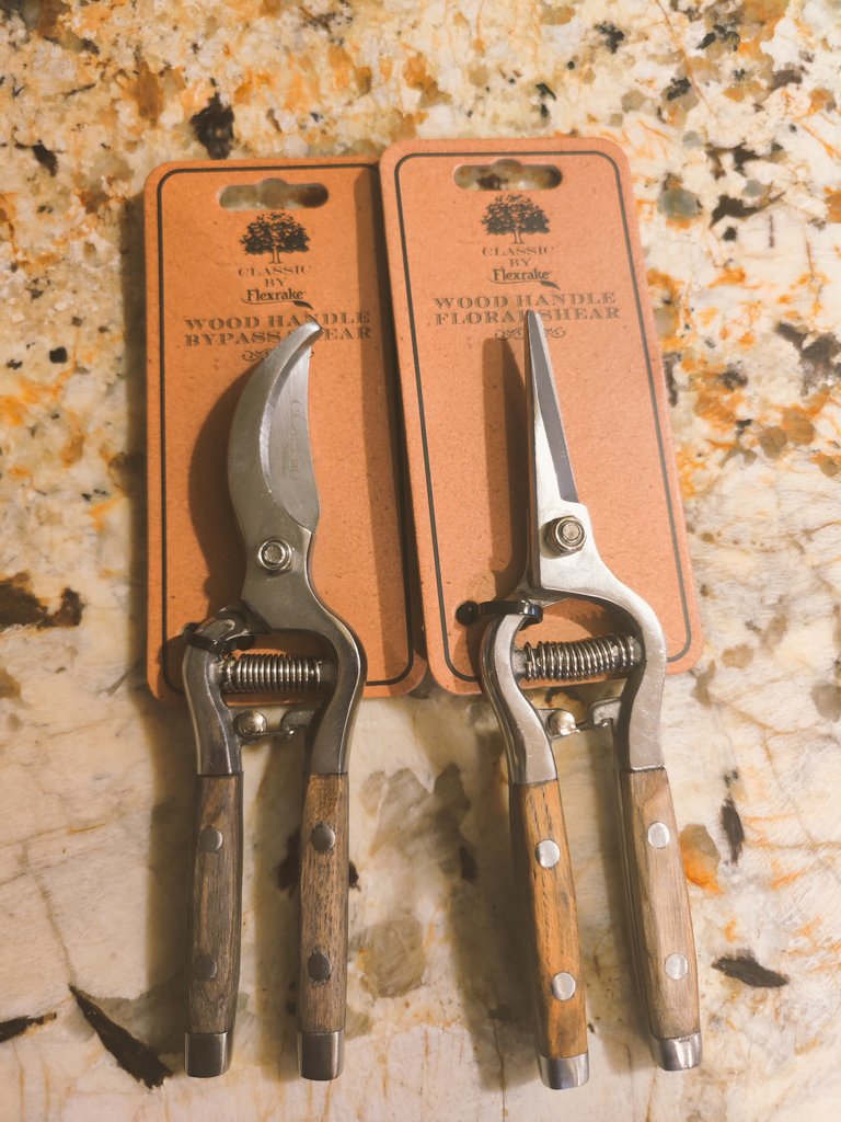 echavez310's tweet photo. New shears for the garden. https://t.co/JFaoJZwZy9