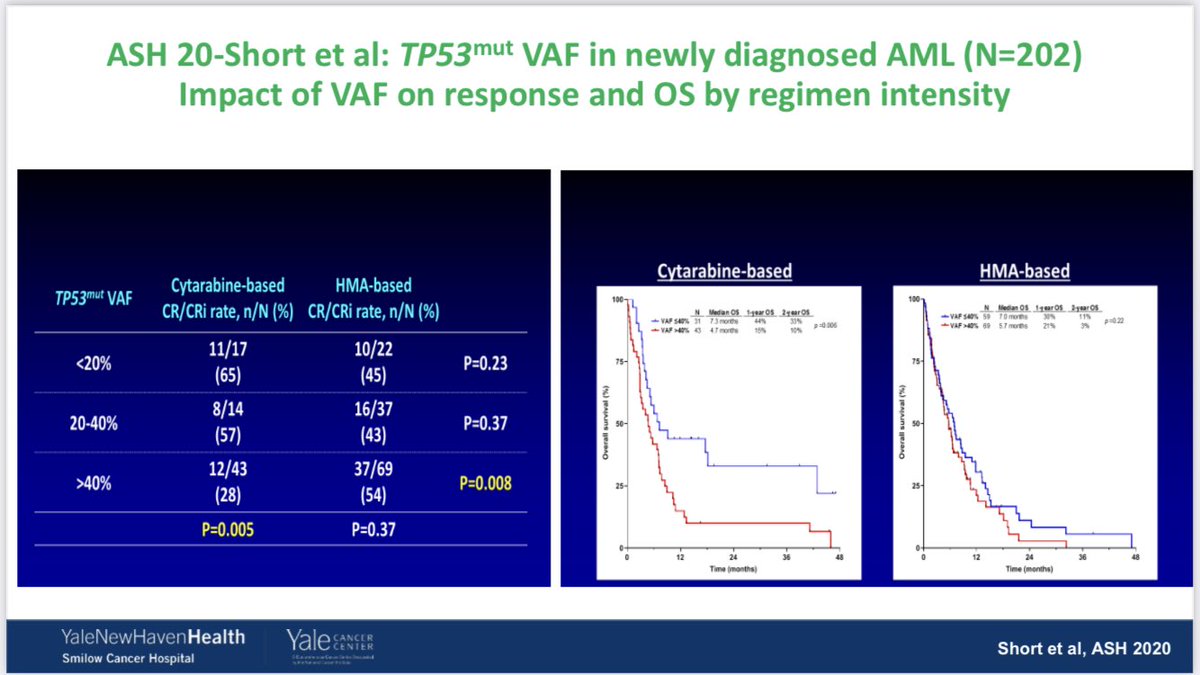 4) The authors identified 40% VAF as cutoff for worse outcomes regardless of therapy but especially for ARA-C based intensive chemo treated patients further supporting the notion that many of these patients, esp those with high VAF, do not benefit from intensive therapies.