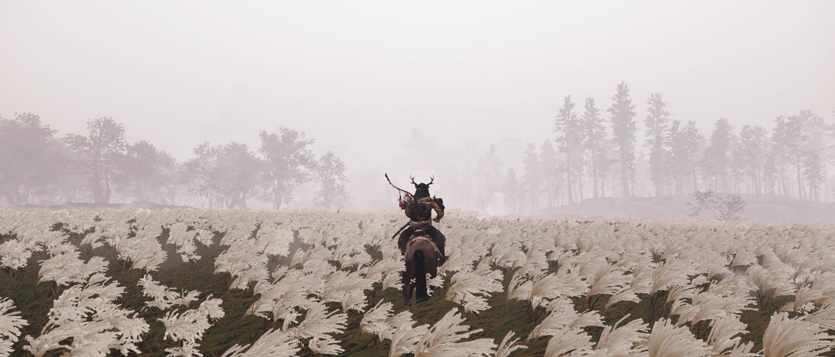 Next up, a very cinematic shot of a samurai in the susuki field.break down in next tweet.