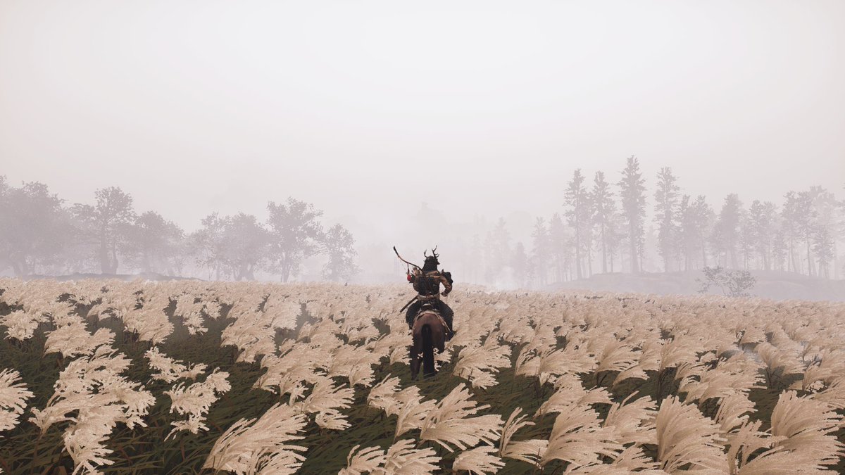 To make him the center of the pic, literally, Phi grid helped us see what dynamic could help. Lines of the trees and field converge to him. I decided to couple this with a rule of third in 21:9 in 3 almost = layers ground/trees/sky. More ground, again cause rider is the subject.