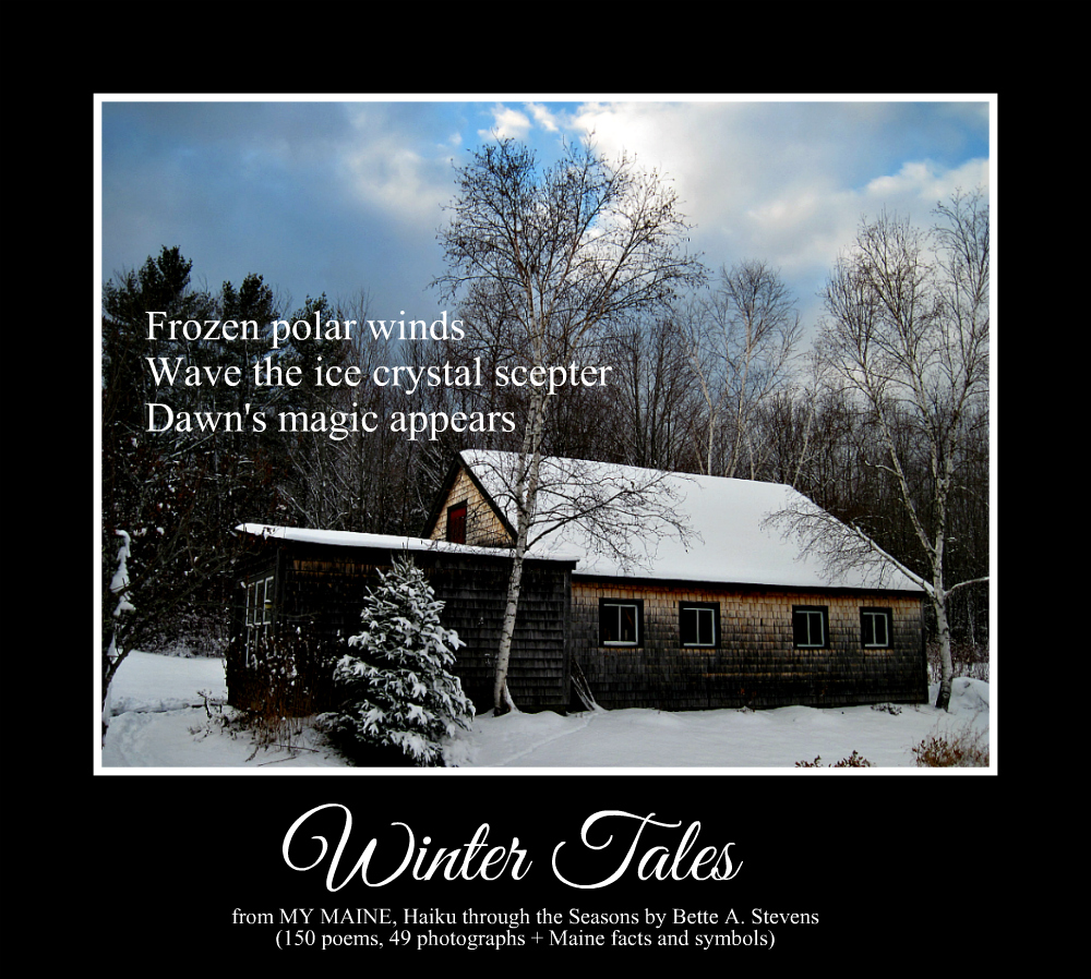 BetteAStevens's tweet photo. A GREAT ESCAPE...
Enjoy the timeless tranquility of The Pine Tree State without leaving home... My Maine: Haiku through the Seasons by Bette Stevens https://t.co/s9Ur6fGok4โฆ #culture #tranquility #nature #books #poetry #photography + Maine facts & symbols #Mained #NewEngland https://t.co/OY2TtnyqHY