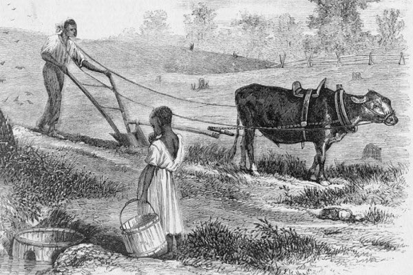 #220: 40 Acres and a mule (Part 2) The lands were former plantations confiscated during the war. Andrew Johnson stated that bringing a slave to your property would increase its value by 75%. After the CW came the first time land was more valuable than a slave.