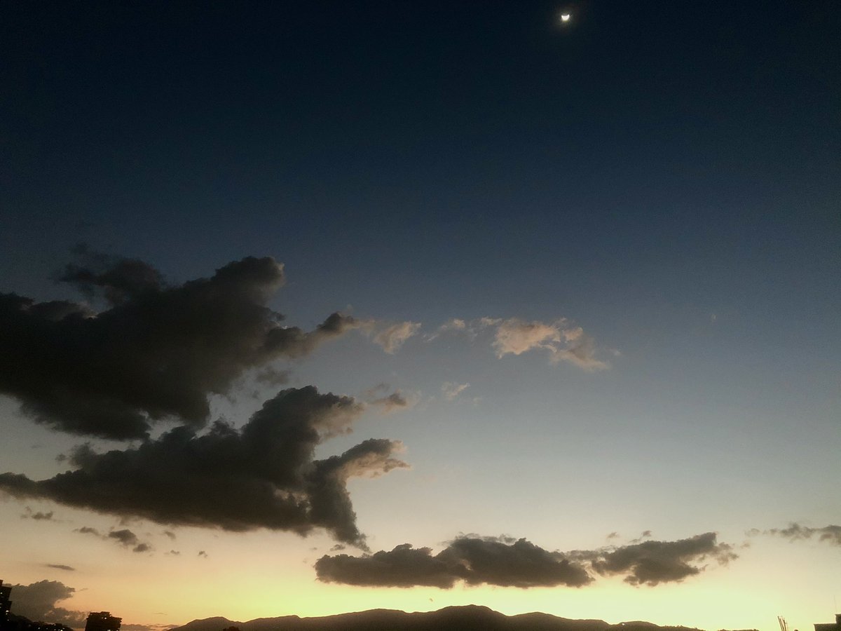 mutata16's tweet image. 