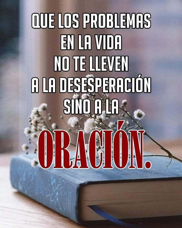 Anasilviaalani's tweet photo. https://t.co/ugVjAUOs50