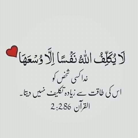 🌾السلام علیکم🌾 
🍃صبح بخیر 🍃
🌺بیشک🌺