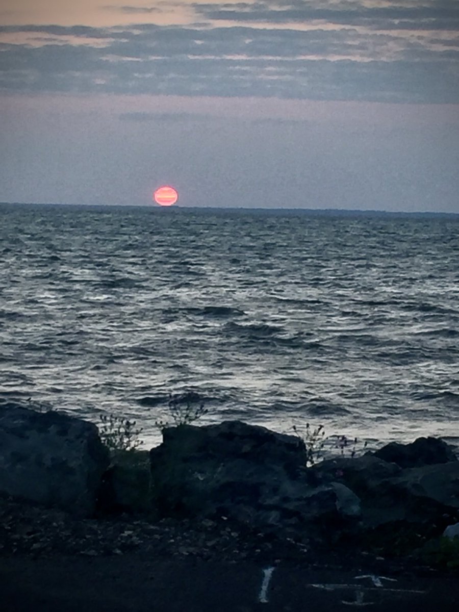 Courage doesn't always roar. Sometimes #courage is the quiet voice at the end of the day saying 'I will try again tomorrow.'
--Mary Anne Radmacher, Photo by CD #BeBRAVE #NeverGiveUp #KeepGoing #Sunday #Hope