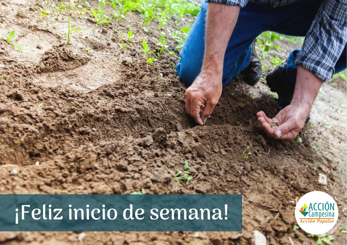 Acción Campesina tweet media