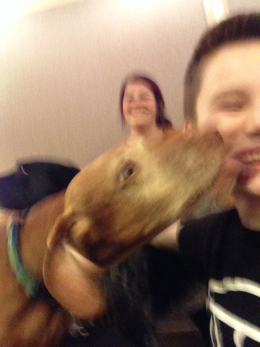 a very happy moment of visiting some dogs in the production office, with my tutor Jessica 