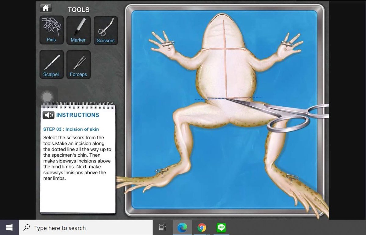 ล่าสุดกุเรียนผ่ากบออนไลน์แล้ว ช่วยด้วย555555555555
