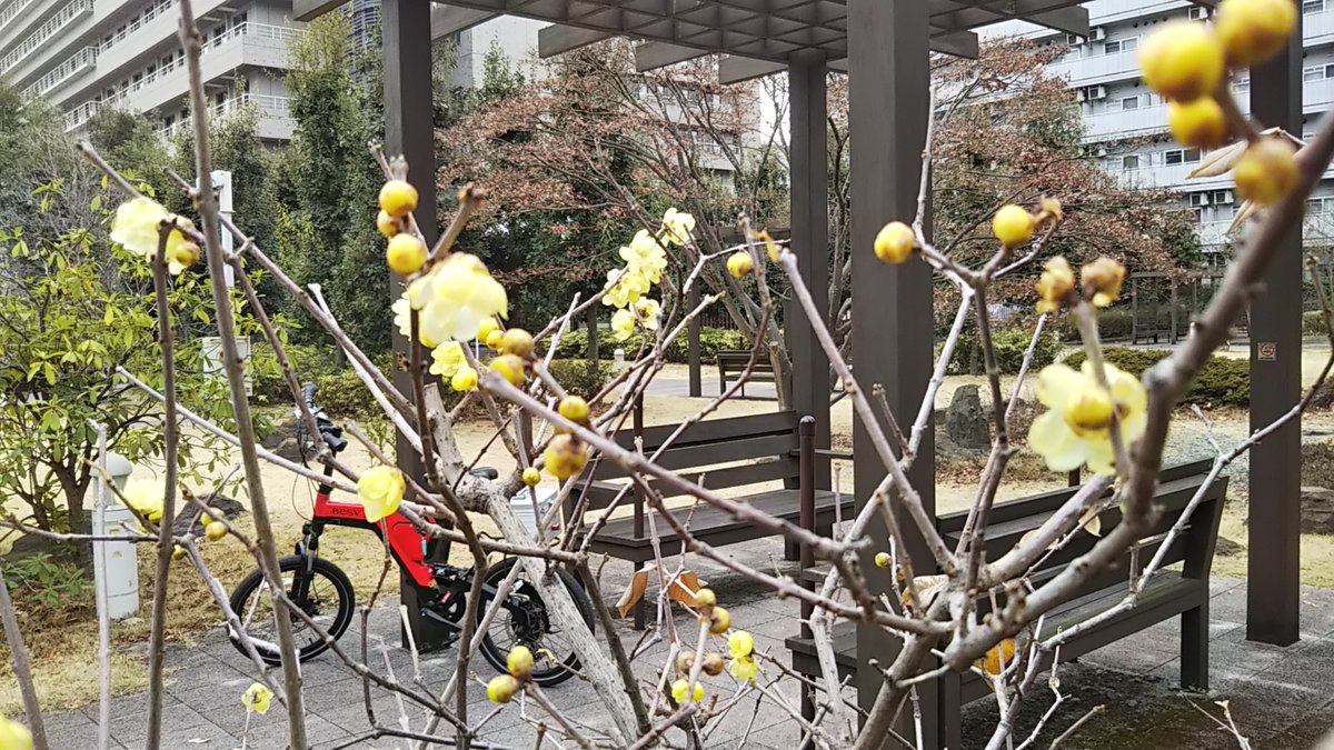 マンション管理組合の理事長 ガーデンカフェ池田山のコーヒーショップ 残念ながらガーデンカフェのレストラン及びこれに併設していたタニタ食堂は閉店したようです T Co 1stzkszs9g Besv Besvjapan Ntt東日本関東病院 五反田 T Co