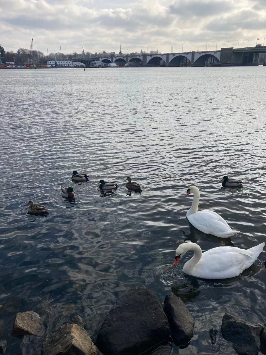 My husband's birthday today, we celebrated by letting him cook at home 😅. My boy and I were out for a nice walk 🤣!