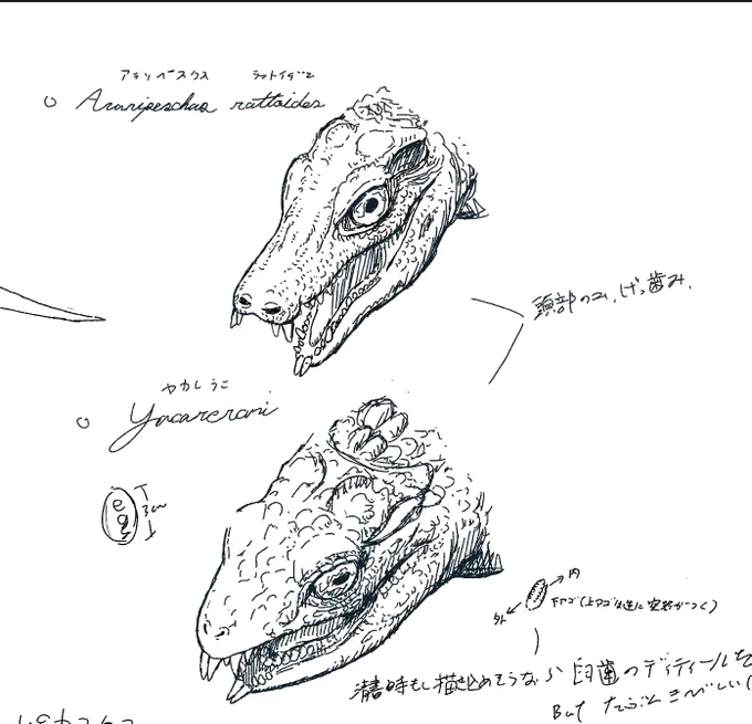 ひみつ本用のラフを量産中。はよ絵の具で描きたいねー 