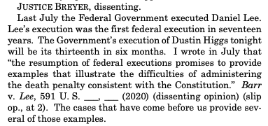 Justice Breyer is not happy. "How just is a legal system that would execute an individual without consideration of a novel or significant legal question that he has raised?"