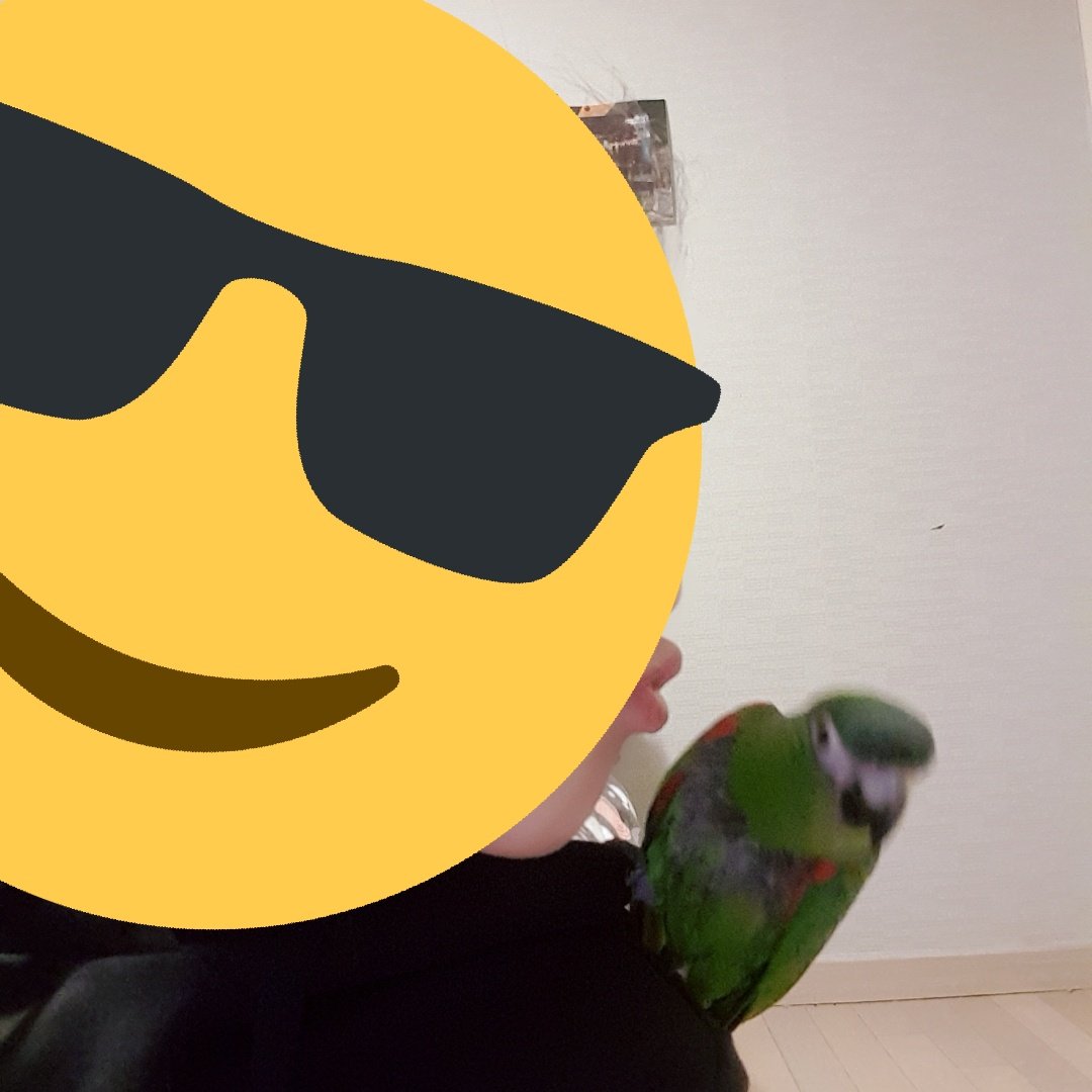 언니 싫어서
/ 자로 서있는중                       응징