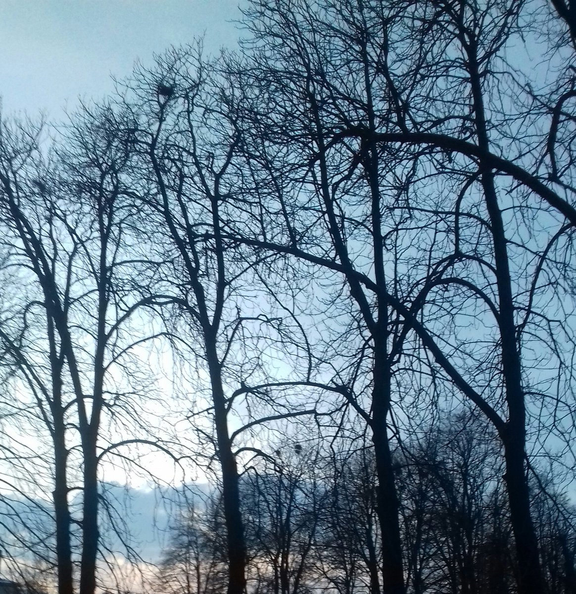 Собі та іншим треба нагадати, як швидко час летить: за миттю мить - і вічність.Здається, ось він, новий рік, спішить до хати, і раптом -  середина січня....Ще трішки й галасливою юрбою пройдуть свята і казка зникне з ними.Цінуймо час, якого небагато призначено для кожної людини.