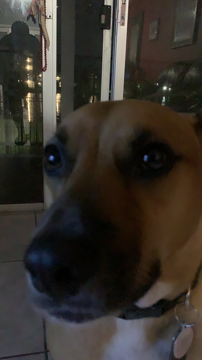 Scout Diesel tweet media