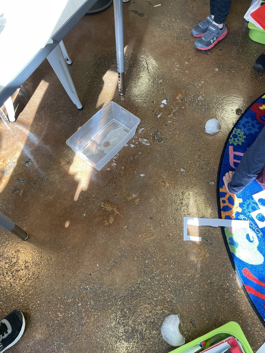 JenniferCNash's tweet photo. It was a snowman life cycle kind of day in #2BelieveAndAchieve @WilemonSTEAM #weathertools #weather #Nashis2nd #snowweek2021 #changes #TEMPERATURE #snowmenatnight https://t.co/bgZXywVHTn